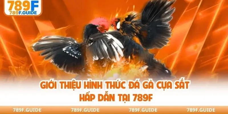 Giới thiệu hình thức đá gà cựa sắt hấp dẫn tại 789F