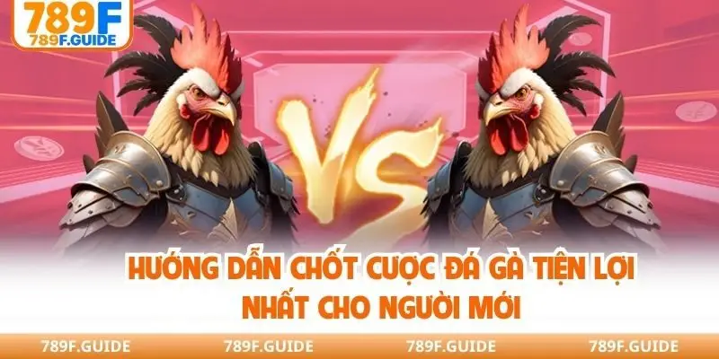 Hướng dẫn chốt cược đá gà tiện lợi nhất cho người mới