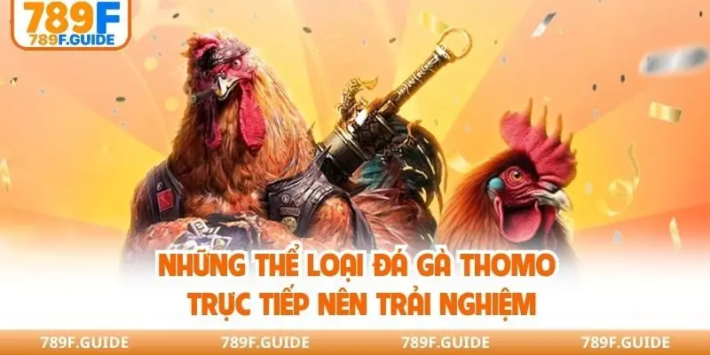 Những thể loại đá gà Thomo trực tiếp nên trải nghiệm