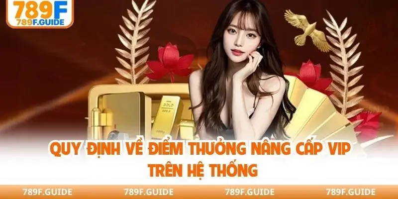 Quy định về điểm thưởng nâng cấp VIP trên hệ thống