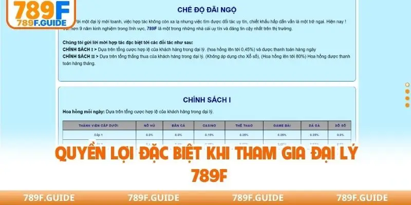 Quyền lợi đặc biệt khi tham gia đại lý 789F