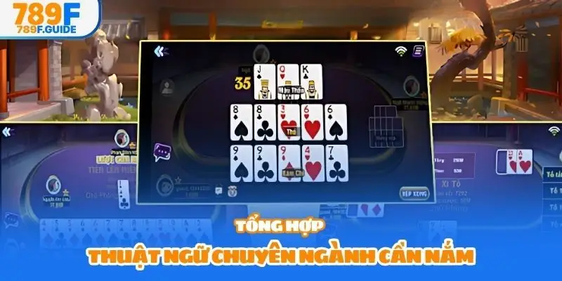 Tổng hợp thuật ngữ chuyên ngành cần nắm