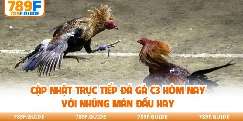 Trực Tiếp Đá Gà C3